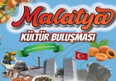 MALATYA KLTR BULUMALARI MALTEPE'DE BALIYOR
